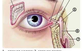 Причины и методы лечения слезотечения из одного глаза